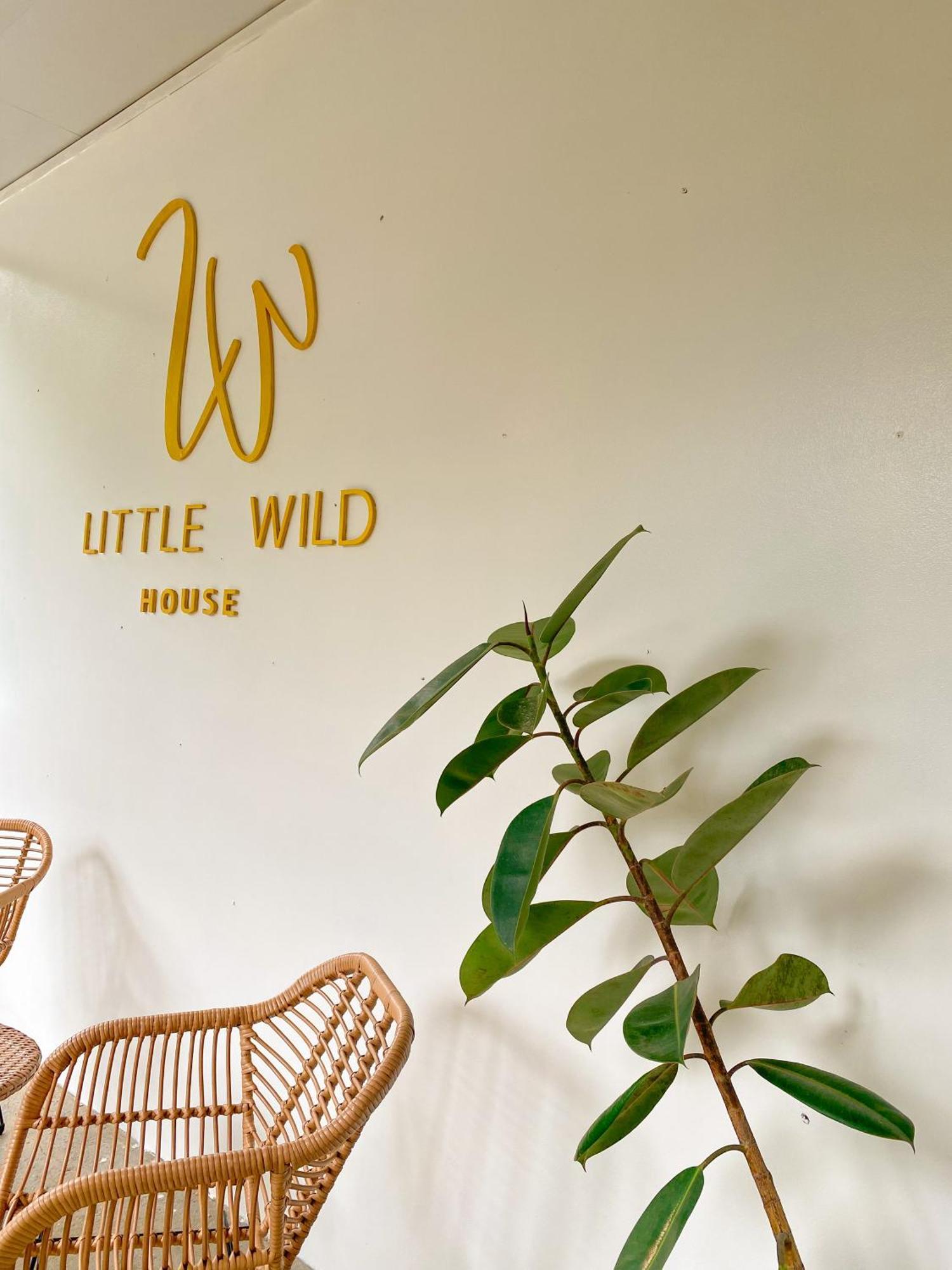 Private Room With Share Bathroom At Little Wild House Khaosok Khao Sok National Park Exterior photo